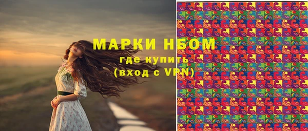 ешки Арсеньев