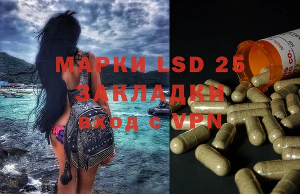 PSILOCYBIN Алексеевка