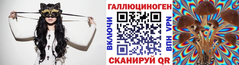 блэк спрут зеркало  где купить наркоту  Мытищи  Псилоцибиновые грибы Magic Shrooms 
